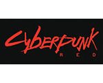 Cyberpunk Roleplaying Game
